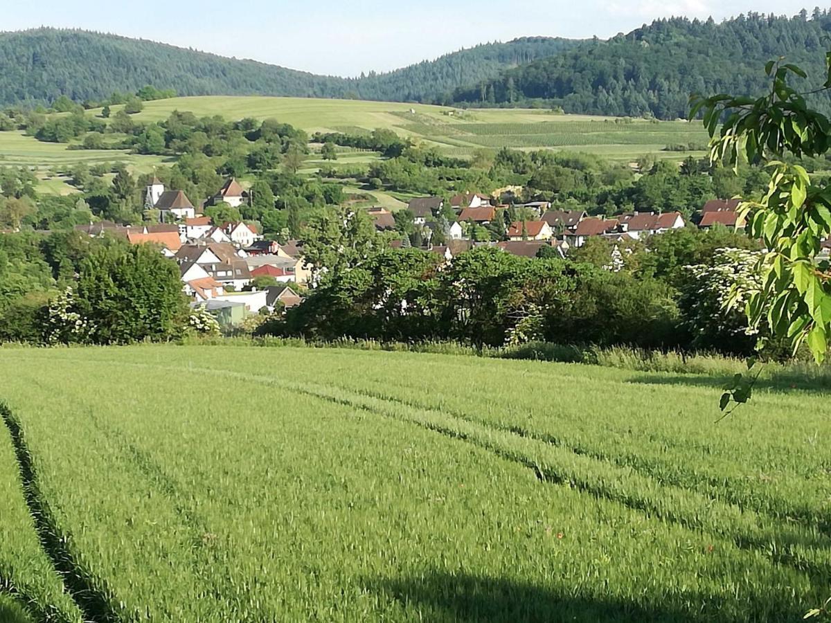 Galerie Ueber Den Gaerten Herbolzheim Eksteriør bilde