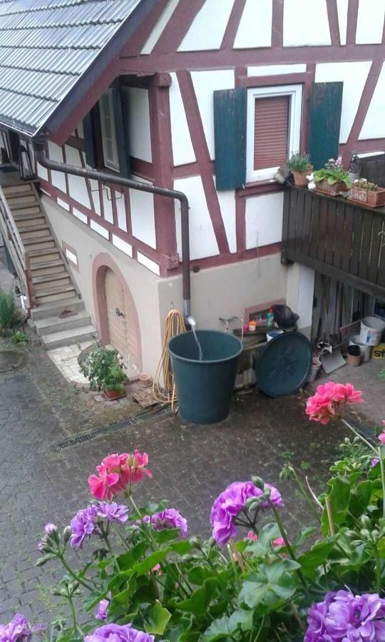 Galerie Ueber Den Gaerten Herbolzheim Eksteriør bilde