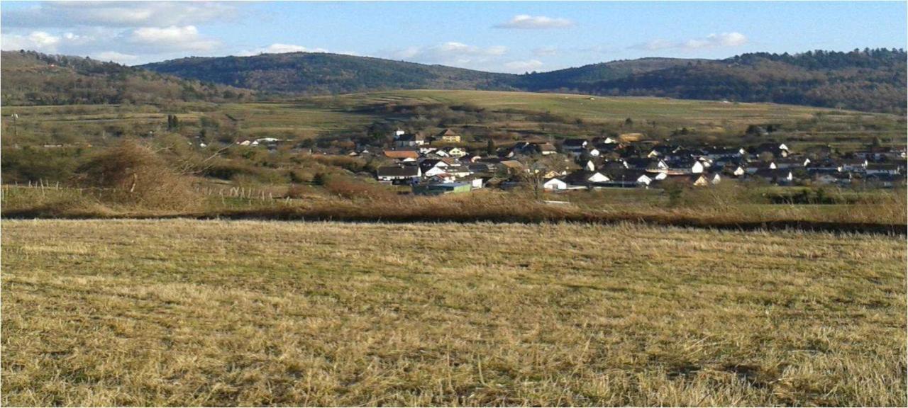 Galerie Ueber Den Gaerten Herbolzheim Eksteriør bilde